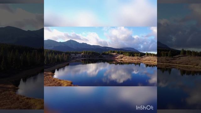 " Как много тех, с кем можно лечь в постель" автор Эдуард Асадов, читает Инна Гагарина смотреть онлайн