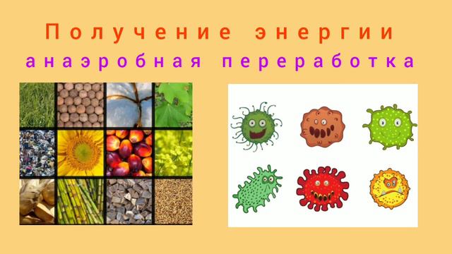 Почему мы должны сортировать мусор? смотреть онлайн