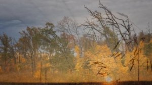 ДЖОН СОКОЛОВ В РОССИИ... (Фото Артёма Карпова (Самара), музыка Джона Соколова (США))
