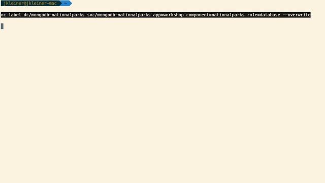 Developer's Demo for Getting Started on OpenShift 4 смотреть онлайн