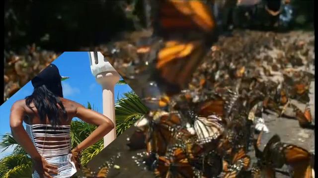 Ebony Essenze - Party Some More смотреть онлайн