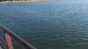 Эх,рыбалка Мариуполь