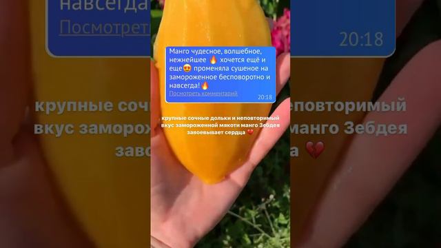 #fruit #mango #recipe #food #манго #healthy #ссылкавописании #freshimport смотреть онлайн