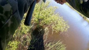 Карп в мае. Рыбалка на донки.