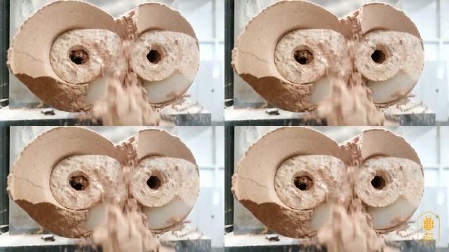 Готовая смесь для экструзионной продукции. АгроТрансПорт