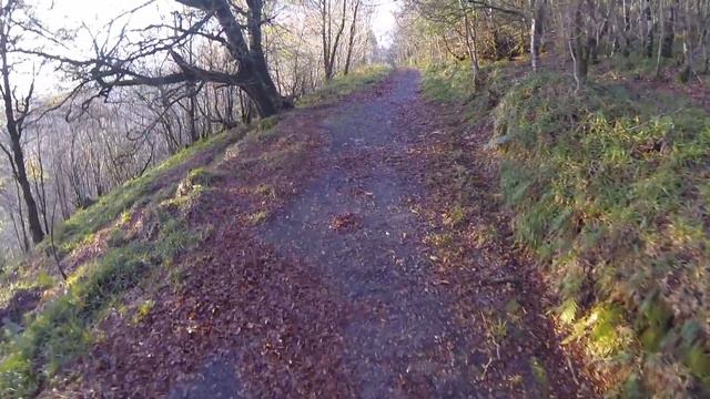 MJX Bugs 3 Flight at Steeple Tower in Stranorlar смотреть онлайн