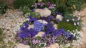 56 идей как оформить клумбы во дворе и перед домом