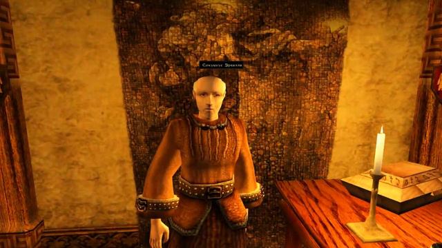 Morrowind - Войовнича Кицюня(летс плей #1) смотреть онлайн