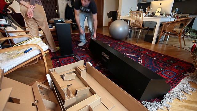 CASIO Celviano AP 250 BK