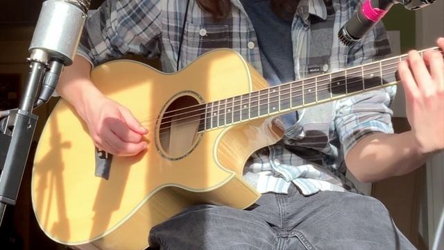 Washburn Festival Guitar EA20