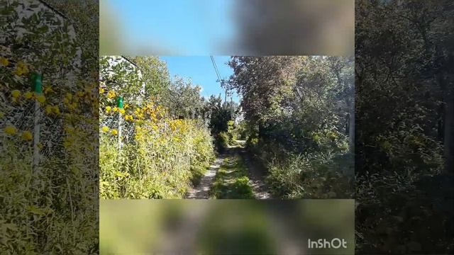 Ты будешь на меня смотреть... Стихи Е.Мельникова (Бадхи). смотреть онлайн