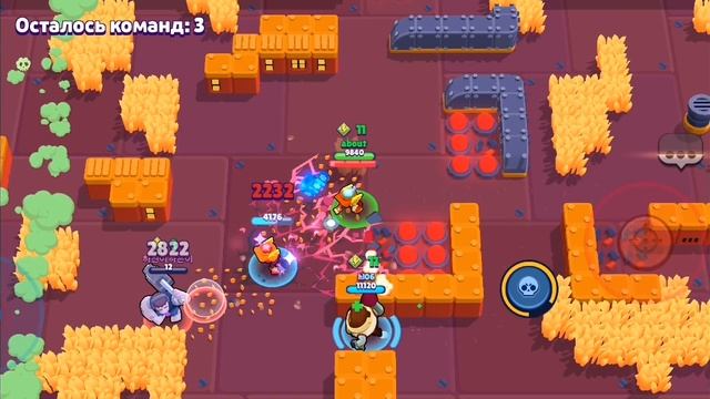 SVID_20240202_122712_1.mp4