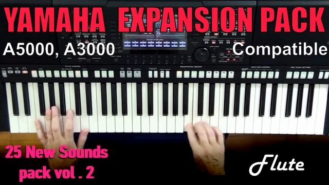 Yamaha Expansion Pack for Yamaha Genos, Tyros 5, SX, PSRs etc. • 25 NEW Voices Pack vol. 2 смотреть онлайн