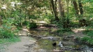 Повесть Виталия Полозова "На заимке" продолжение, часть 5, читает автор.