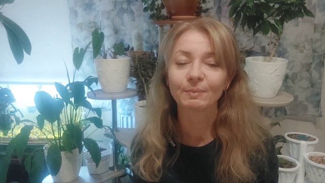 Прогноз на 17.¹1.2023г. по матрице дня смотреть онлайн