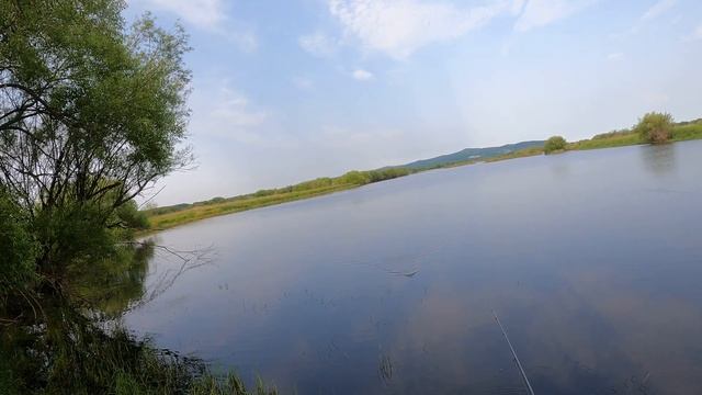 В поисках змея. Озерный трофей. смотреть онлайн