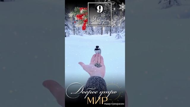 Доброе утро мир смотреть онлайн