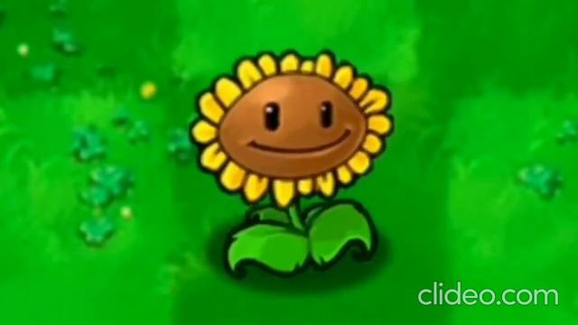 Подсолнух флексит под lil bombden - shit смотреть онлайн