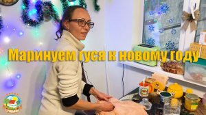 #89 Замариновали гуся к Новому году! Жизнь в деревне.