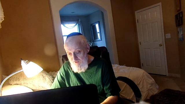 Почему евреи убивали евреев в Германии?(Роман)