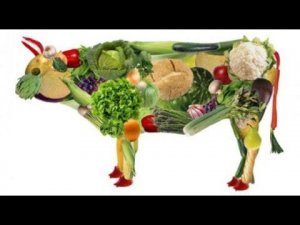 Сквашивание - основа Природного здоровья и питания.