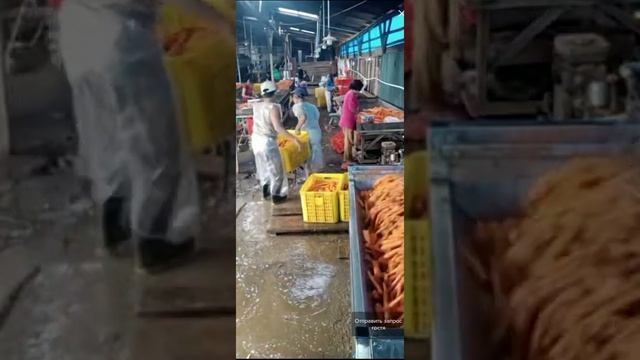 очистка морковь ? смотреть онлайн