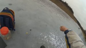 как правильно установить зимнюю жерлицу.