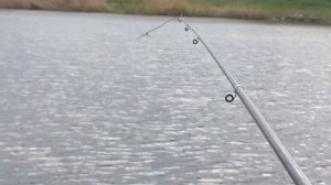 ? БОКОВОЙ КИВОК - сделал за 5 минут НА КОЛЕНКЕ, а он спас рыбалку! Карась и окунь на летнюю мормышк