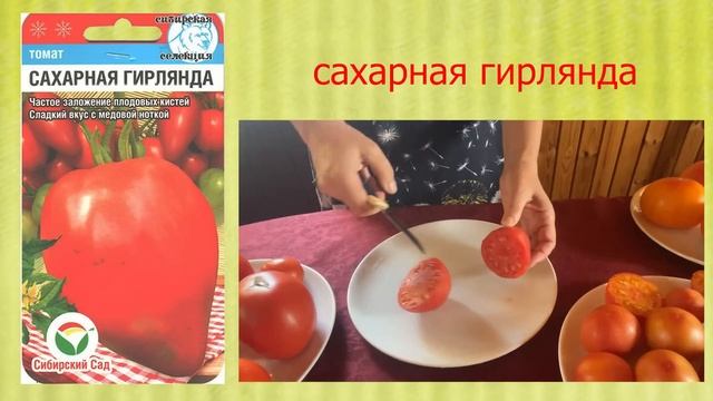 Вспомним красоту сортовых томатов часть2  / Минская область Беларусь