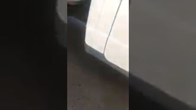 Зверьё из Азербайджана мучает собаку!