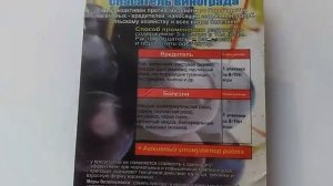 Обработка крыжовника от гусениц. УЖАС!
