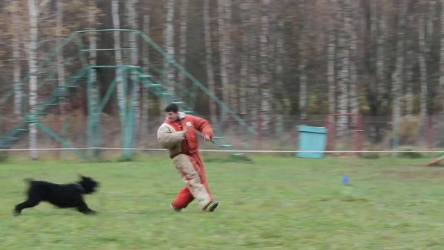 Большой Русский Ринг СДЦ 