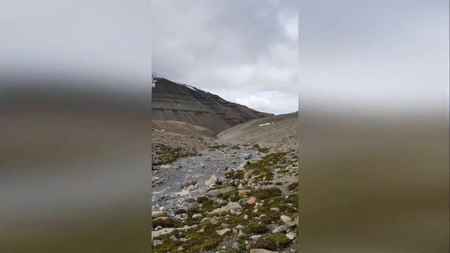 Кайлас, радиалки. Нанди. Ниша Саптариши. Kailash, Nandi, Saptаrishi, 13 Chortens. Touch Kailash.