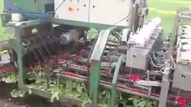 как убирают редис смотреть онлайн