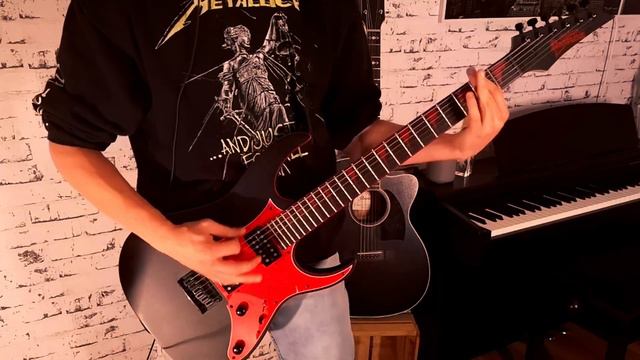 Rammstein - Donaukinder | Guitar Cover | смотреть онлайн