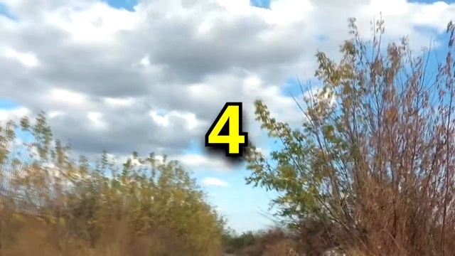 Что означает номер вашей квартиры смотреть онлайн