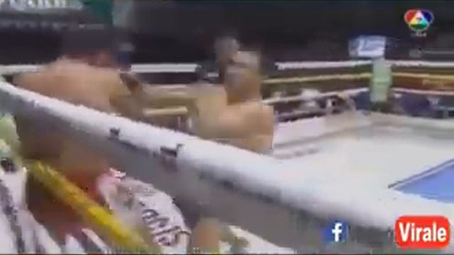 Non farà pugilato come al vero Rocky, ma la thai però rimane un grande! Guardate cosa combina смотреть онлайн