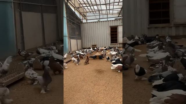 3 марта 2022 г.