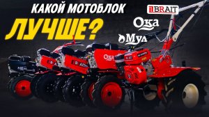 Какой МОТОБЛОК лучше?