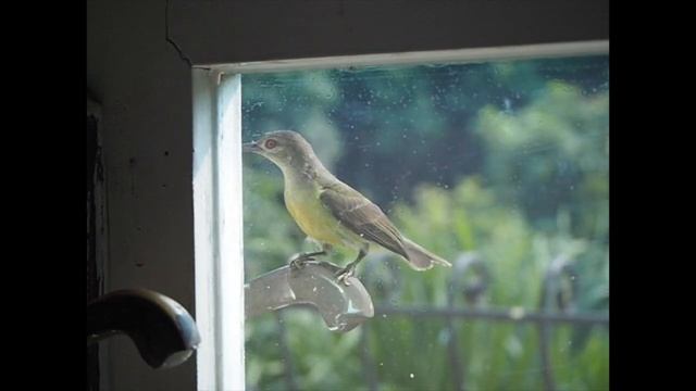 Olympus E-M10 mark II - Video Test High Speed 120 fps смотреть онлайн
