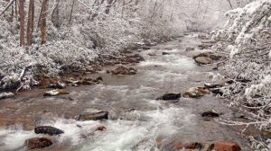 Winter Background Music ❄️ Relaxing Piano Music 🎹 4k Winter Stream Background & Snow🍴Dinner Music