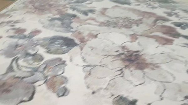 Ковер Argentum Platinum Argentum 63528 6747 (Бельгия), Магазин ковров Карпет Голд