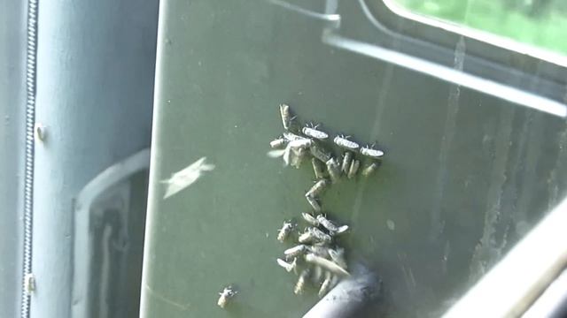 Магия Пространства