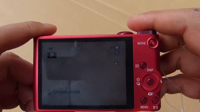 Camara SONY Cybershot DSC-WX300