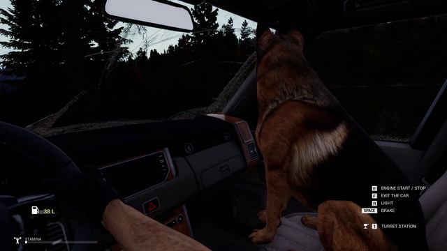 Mist Survival (Update 0.5) - Rescuing The New Dog Companion & Checking Out The New Green Mist