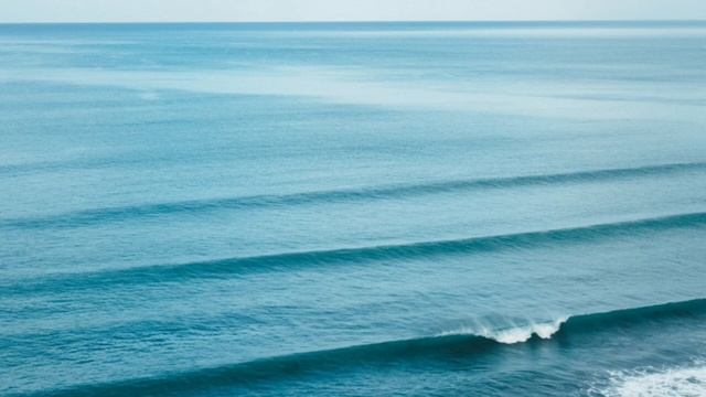 Дочь побежала выгуливать собак. Ей сообщила соседка, что на 5 этаже ПЛОХО ПАРНЮ. Реальные истории. смотреть онлайн