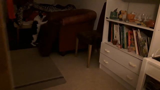 Визание крючком одеяло. смотреть онлайн