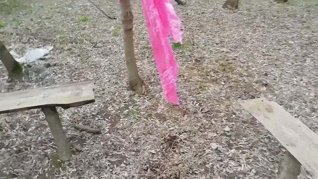 #19. В поисках металлолома. Вечерний выезд. смотреть онлайн