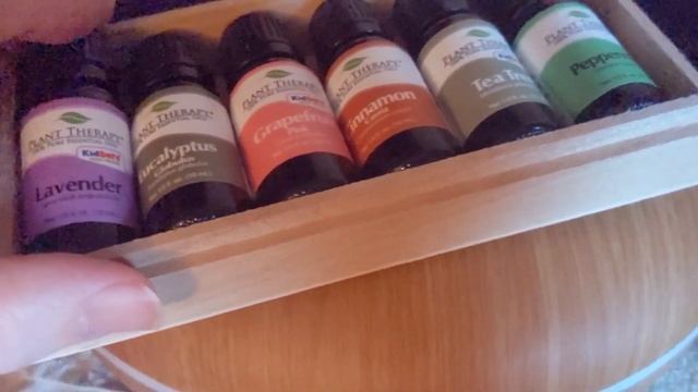 Smiley Daisy Diffuser Review смотреть онлайн