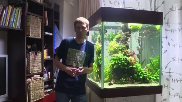 #Аквакубик. Баланс pH/KH. Идеальная концентрация CO2 смотреть онлайн